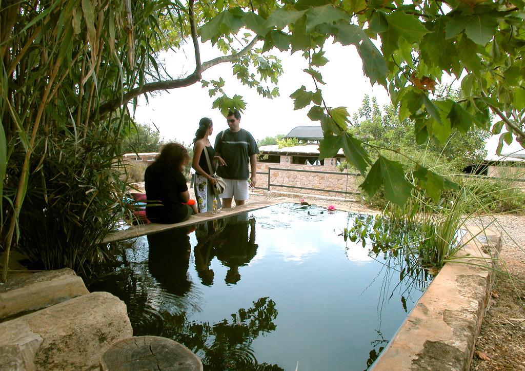 Hotel Back To Nature Camping & Huts Mikhmannim Pokój zdjęcie